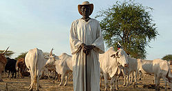 Abyei Aljazeera.jpg